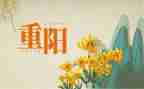 大班幼儿重阳节活动方案参考6篇