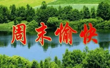 我的周末800作文精选5篇