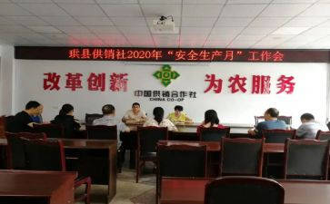 专合社调研报告7篇