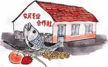 专合社调研报告精选5篇