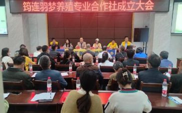 专合社调研报告参考8篇