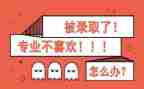 转专业简历模板推荐5篇