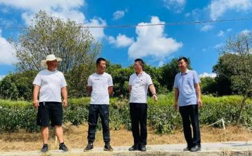 2024年驻村干部个人述职报告5篇