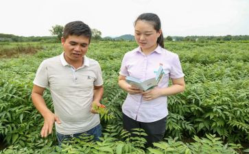 大病救助农村申请书5篇