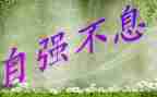 自强之星申请书申请书8篇