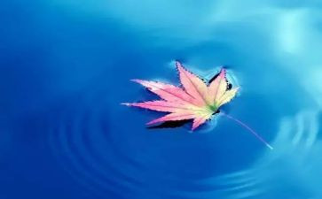 我与自然的亲密接触作文7篇