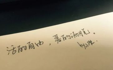 我的自由梦作文5篇