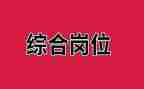 综合岗述职报告优质6篇