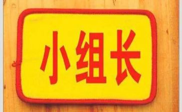组长工作总结模板5篇