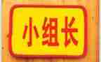 幼儿园分园组长工作计划8篇