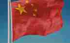 我的祖国我的心作文5篇