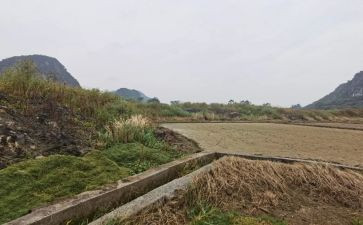 自住房租赁合同通用6篇