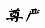 做尊严人心得体会7篇